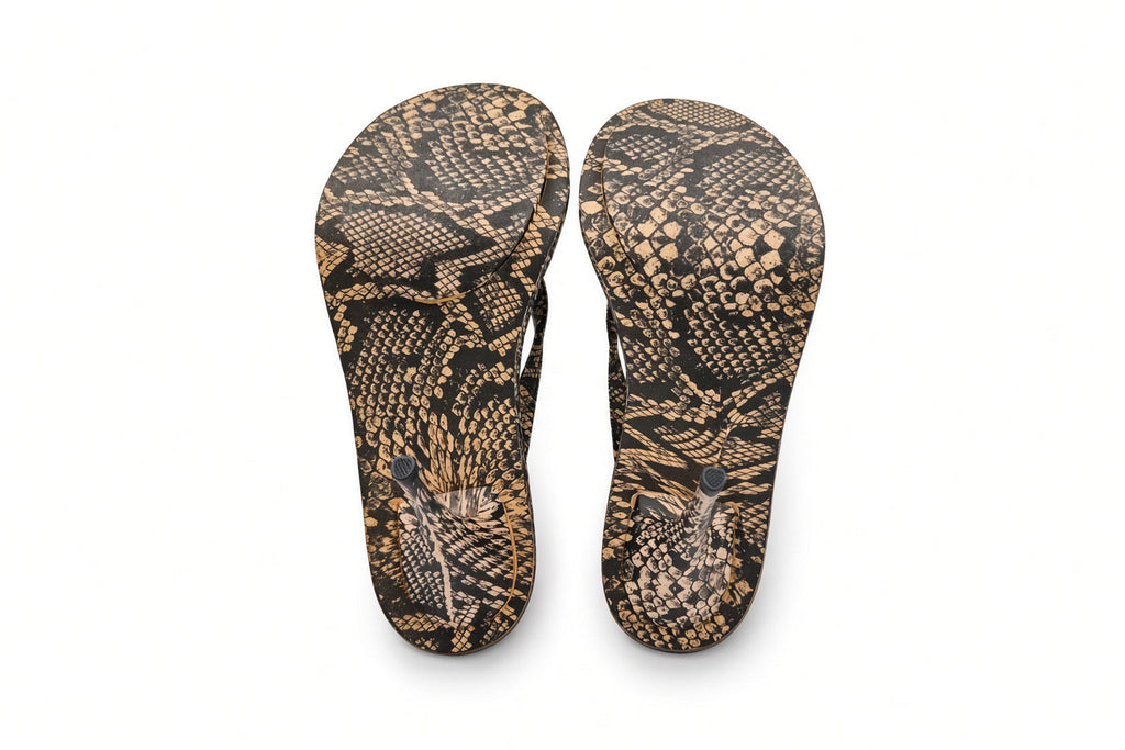 sand-black-snake
