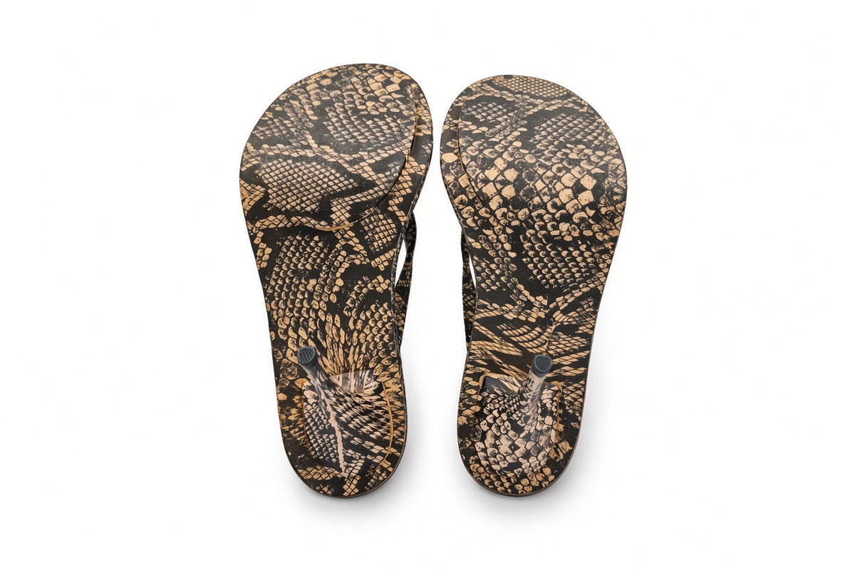 sand-black-snake