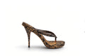 sand-black-snake