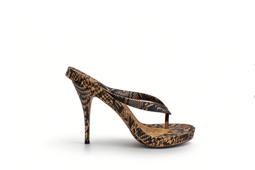 sand-black-snake