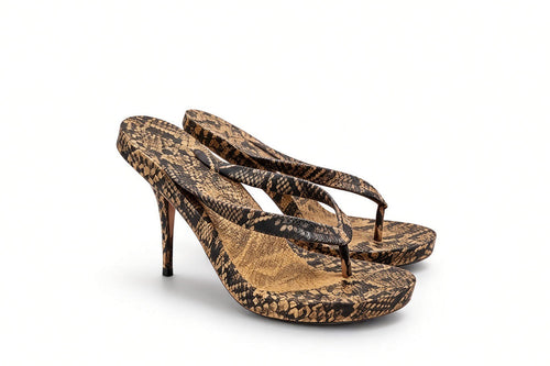 sand-black-snake